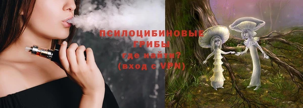 амф Богородицк