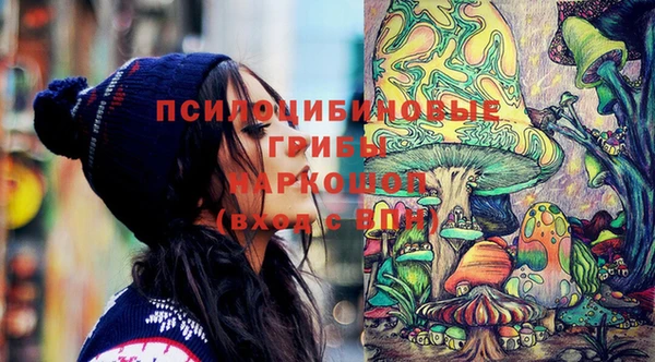 амф Богородицк