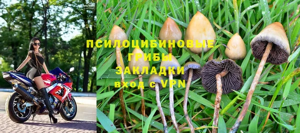 хмурый Богородск