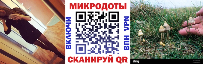 Галлюциногенные грибы MAGIC MUSHROOMS  Дмитровск 